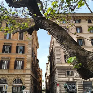 Vatican Near Sweet Terrace Appartamento Roma